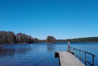 Naarjärvi on jo vapaa. Joutsenpariskunta lepäilemässä järvellä.