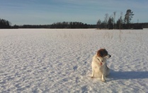Tammikuinen talvipäivä Naarjärven jäällä. Kuva: Jaana Joutsen